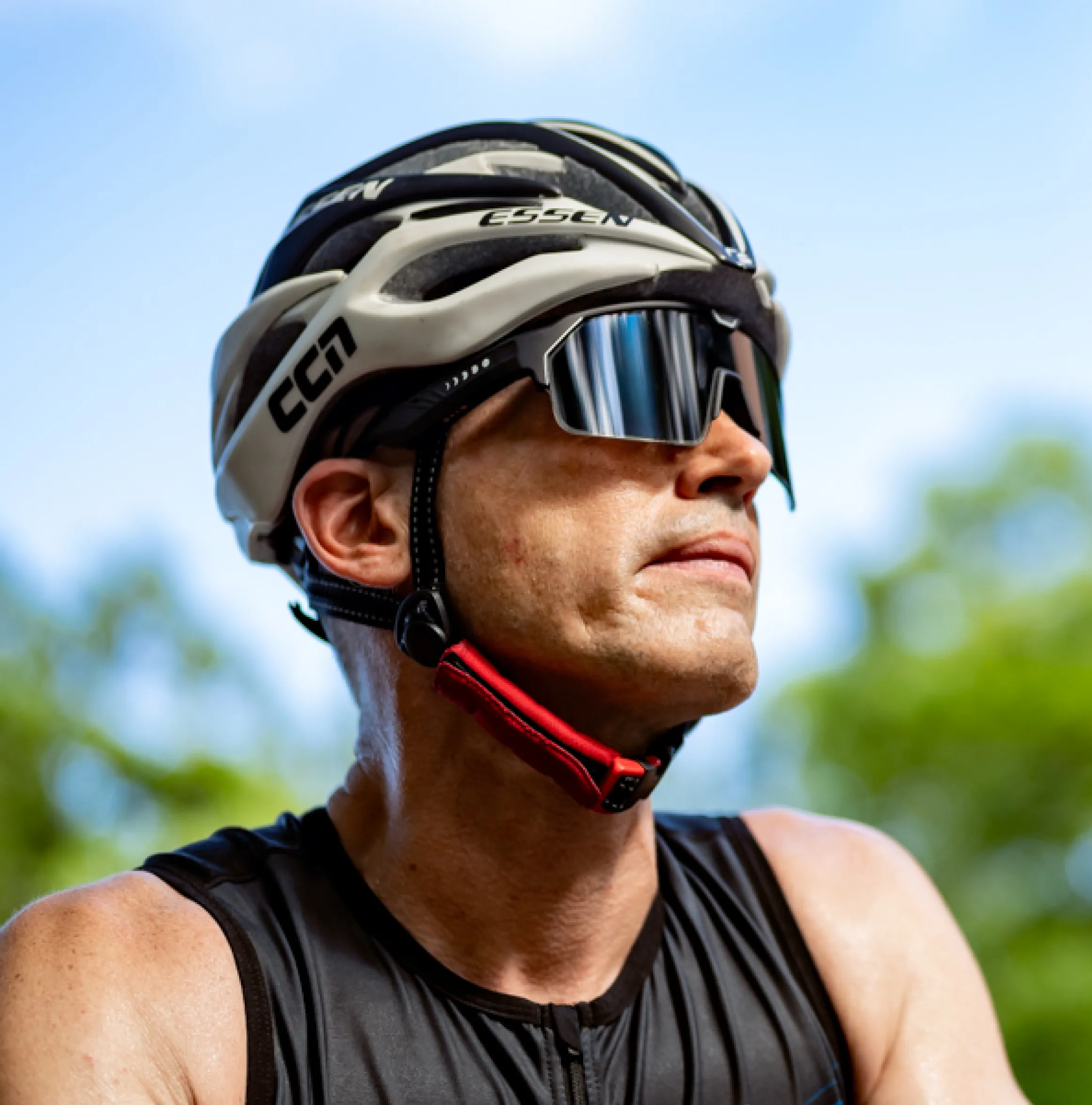 Music Shield - Image 7