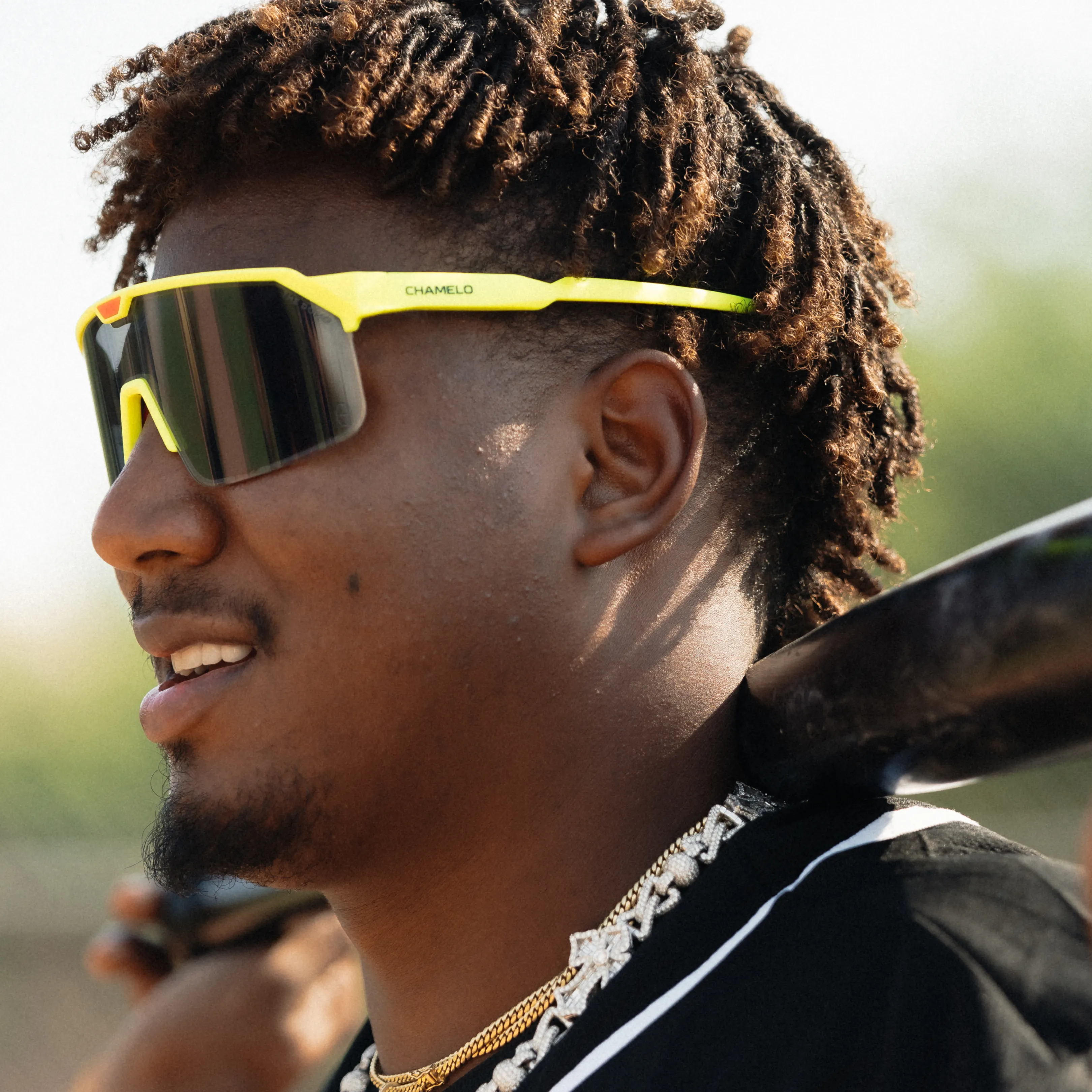 The Domo Shield - Image 4